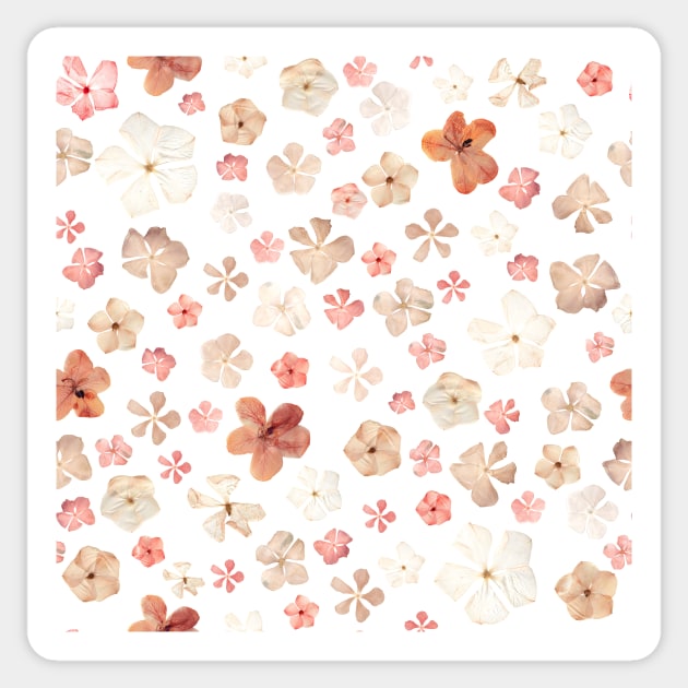 Pressed flowers seamless pattern. Spring dry flowers. Summer floral composition Sticker by likapix